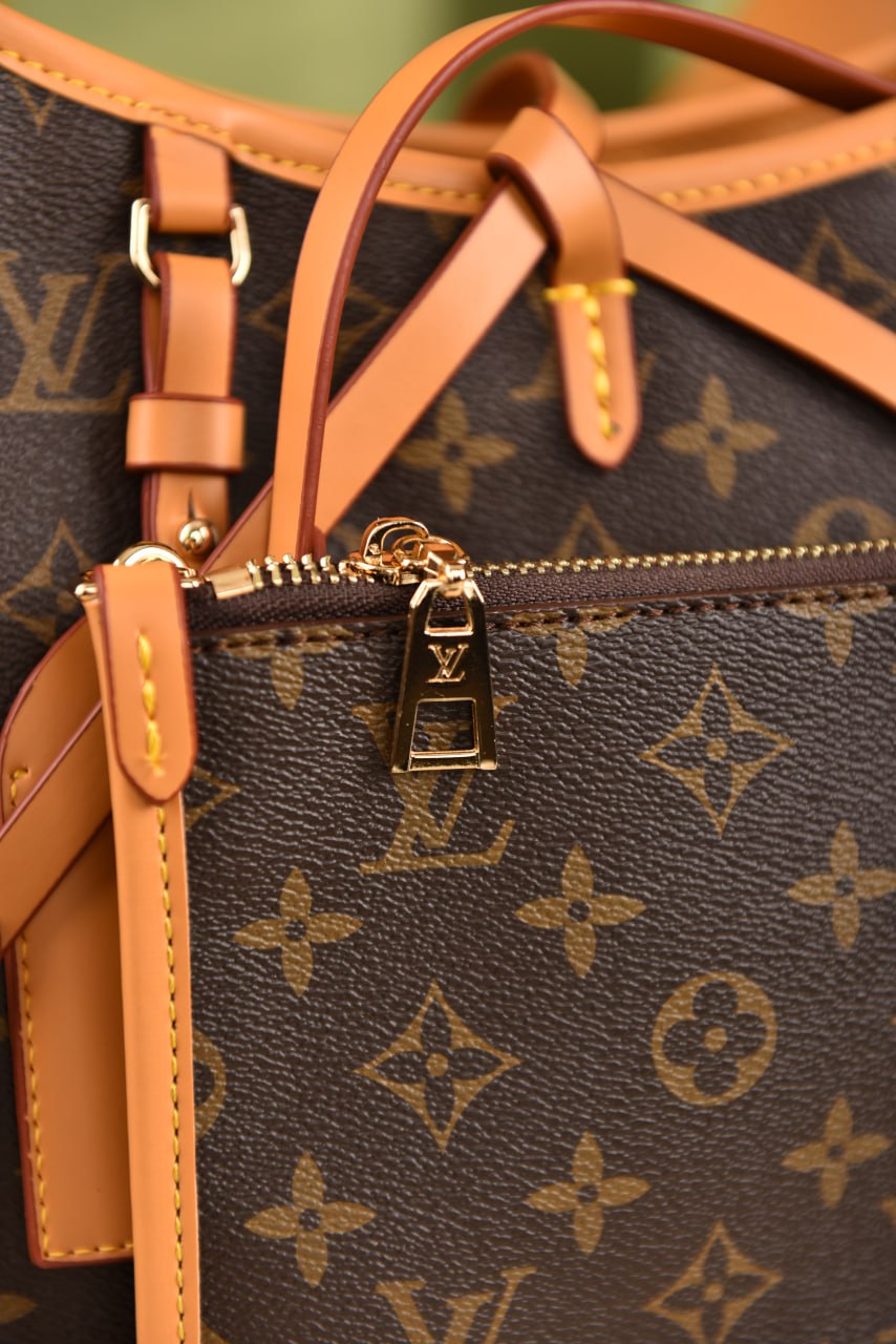 لوي فيتون (9 ألوان) - Louis Vuitton Carry All PM
