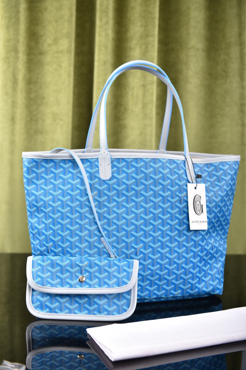 جويارد (11 لون) - Goyard Saint Louis PM Bag