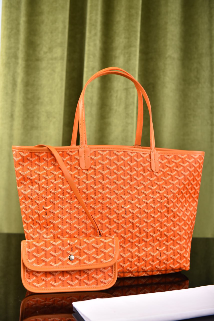جويارد (11 لون) - Goyard Saint Louis PM Bag