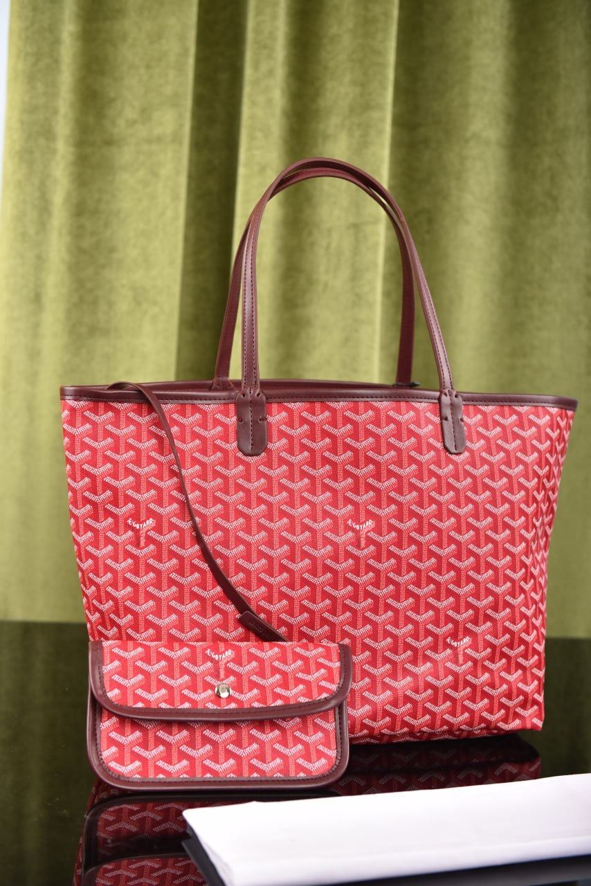 جويارد (11 لون) - Goyard Saint Louis PM Bag