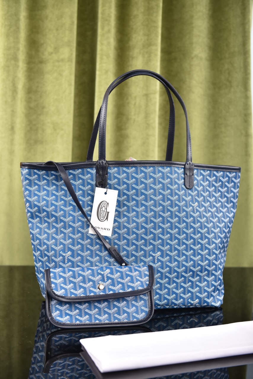 جويارد (11 لون) - Goyard Saint Louis PM Bag