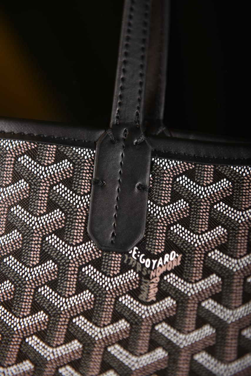 جويارد (11 لون) - Goyard Saint Louis PM Bag
