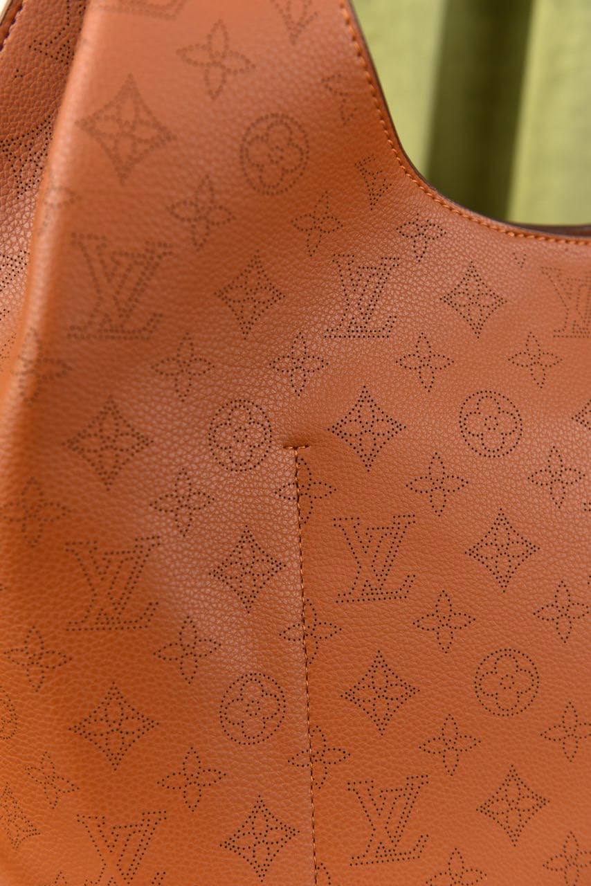لوي فيتون (22 لون) - Louis Vuitton Carmel