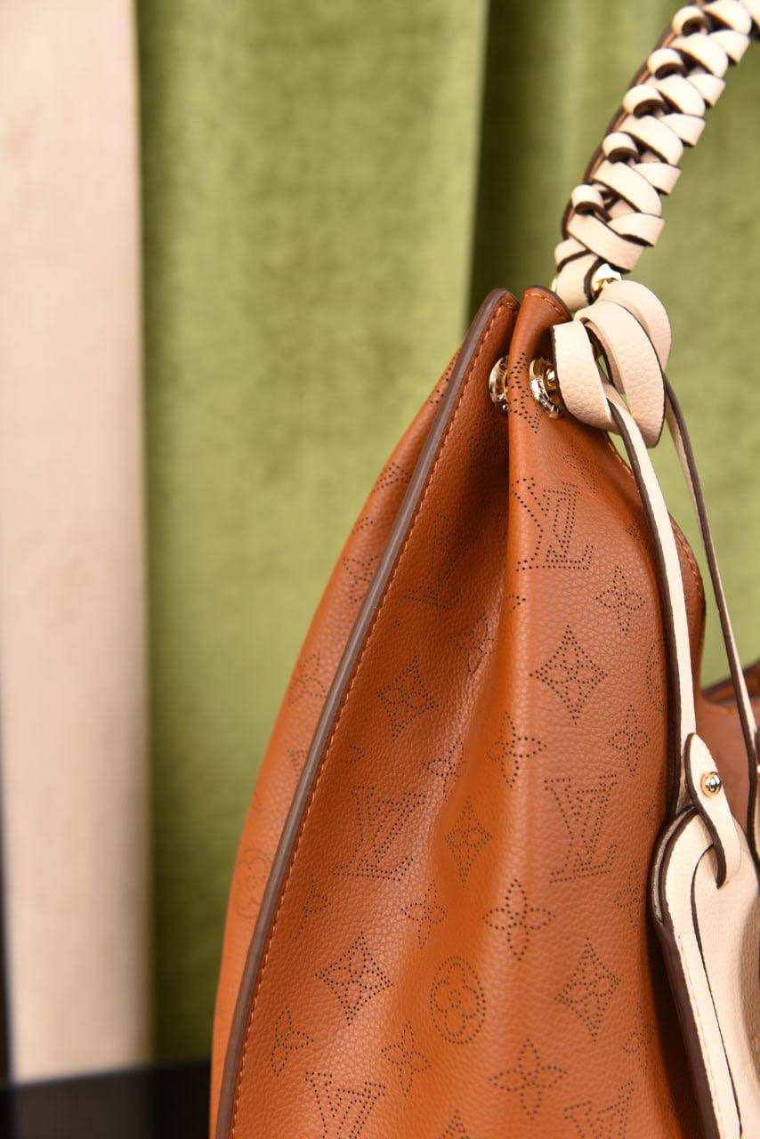 لوي فيتون (22 لون) - Louis Vuitton Carmel