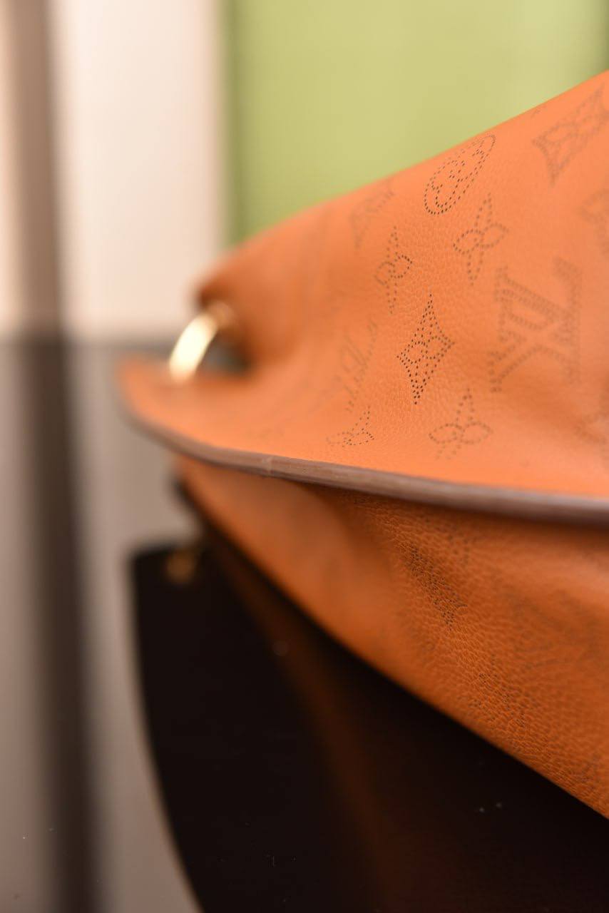 لوي فيتون (22 لون) - Louis Vuitton Carmel
