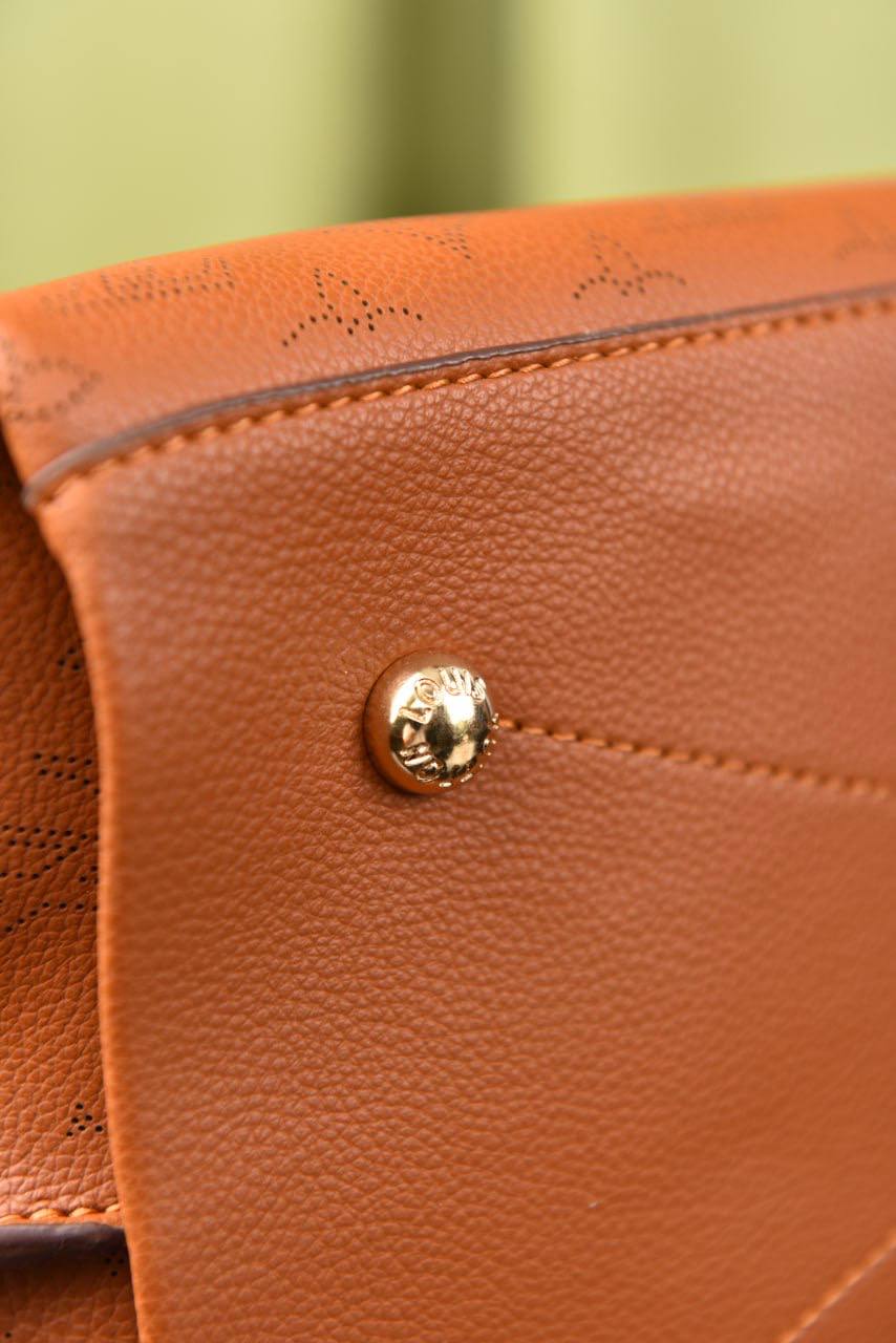 لوي فيتون (22 لون) - Louis Vuitton Carmel