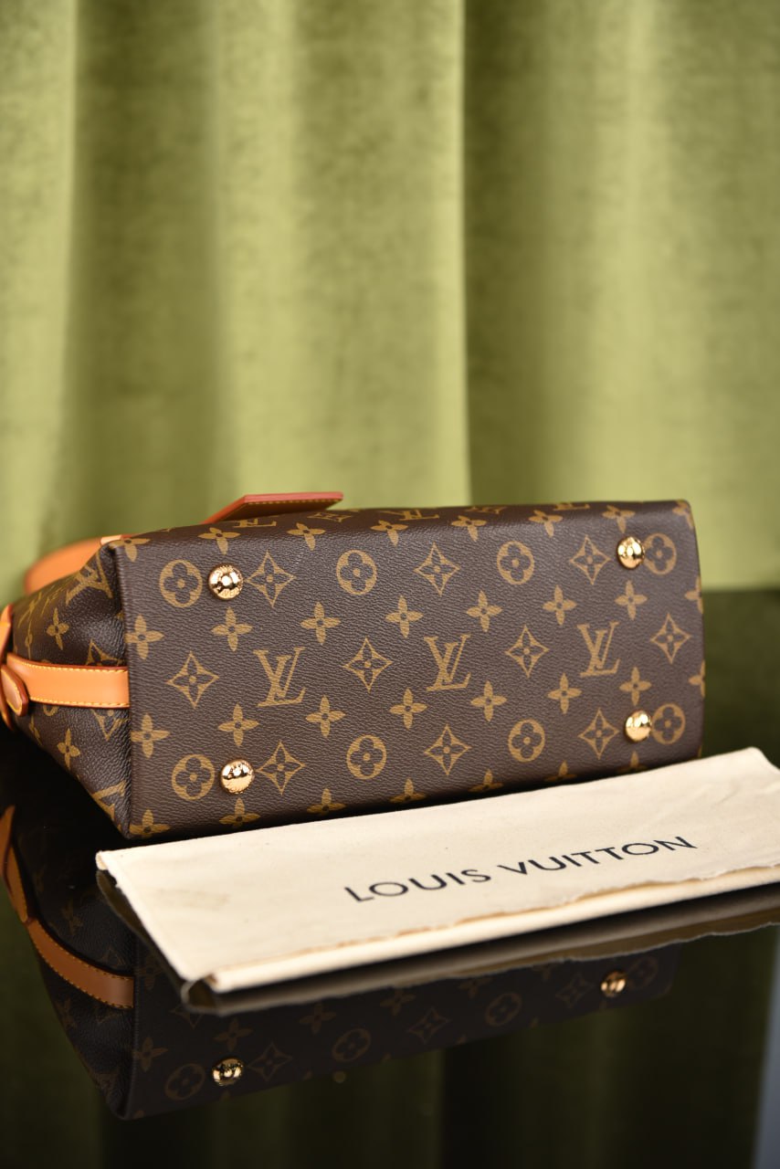 لوي فيتون (9 ألوان) - Louis Vuitton Carry All PM